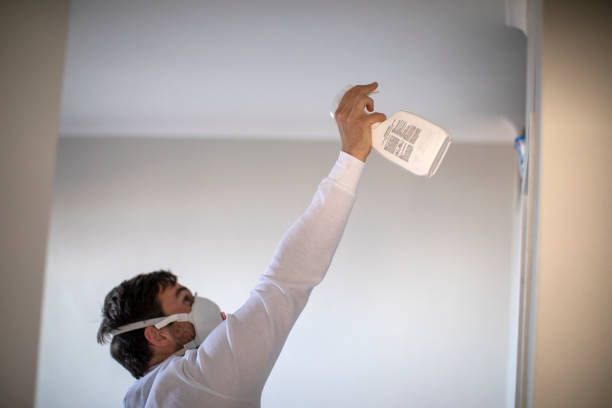 Best Toxic Mold Removal  in Mount Vista, WA