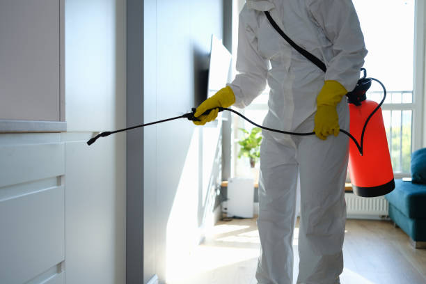 Best Mold Testing  in Mount Vista, WA